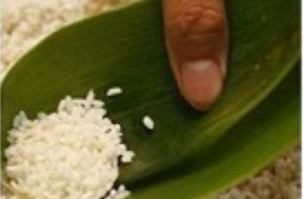 包粽子步骤50字,包粽子的步骤6步文字图5