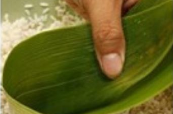 包粽子步骤50字,包粽子的步骤6步文字图4