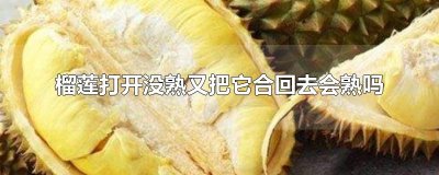 ​榴莲打开没熟又把它合回去会熟吗