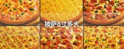 ​披萨8寸多大