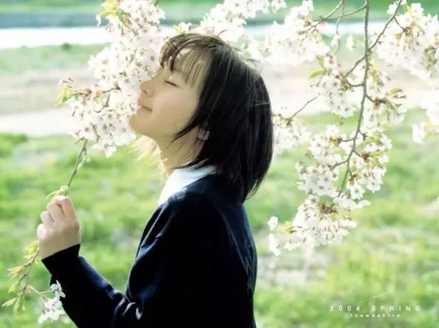 堀北真希宣布引退(回到堀北真希隐退之前)(4)