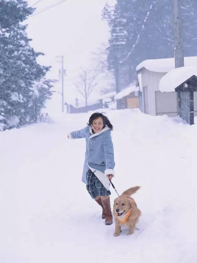 堀北真希宣布引退(回到堀北真希隐退之前)(10)