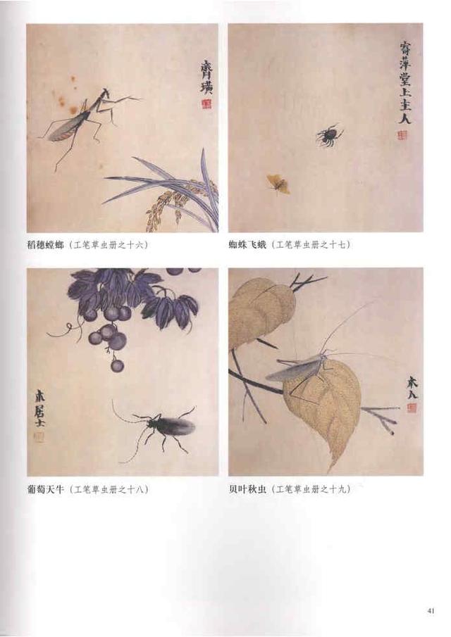 齐白石真实作品欣赏(齐白石早期作品大全800幅)(62)