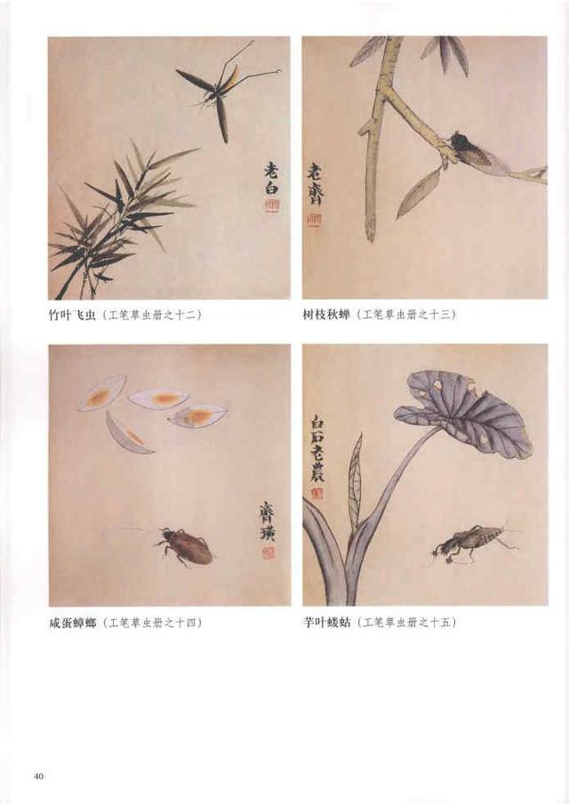 齐白石真实作品欣赏(齐白石早期作品大全800幅)(63)