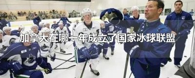 ​加拿大在哪一年成立了国家冰球联盟