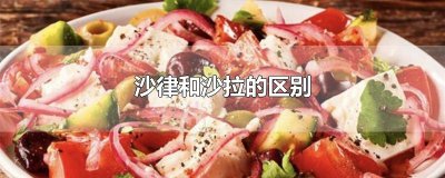 ​沙律和沙拉的区别