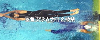 ​鲨鱼皮泳衣为什么被禁