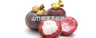 ​山竹哪里不能吃