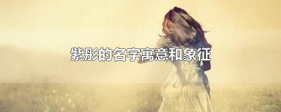 ​紫彤的名字寓意和象征