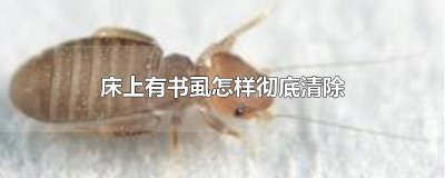 ​床上有书虱怎样彻底清除