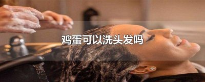 ​鸡蛋可以洗头发吗