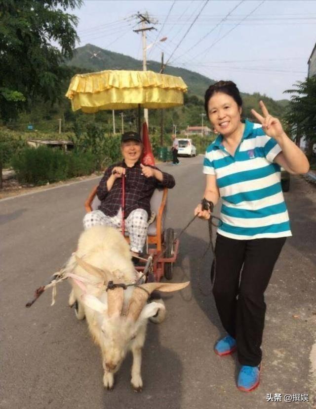 唐杰忠有什么遗产(唐杰忠的妻子金文兰)(15)