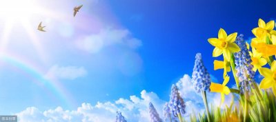 ​推荐几本男女主是青梅竹马的小说，从牙牙学语到一生偕老，超甜