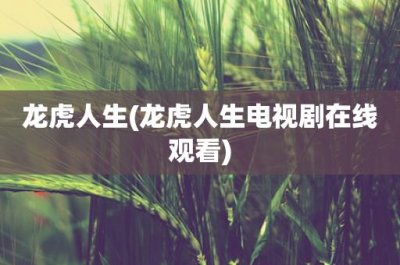 ​龙虎人生(龙虎人生电视剧在线观看)