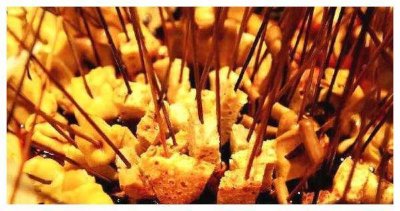 ​大厨：教你自制五香豆腐串，步骤简单，看一眼就会