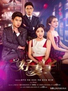 ​电视剧《好妻子》剧情介绍(1-56全集)