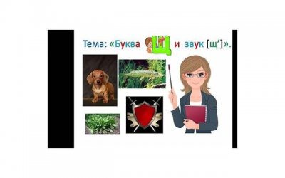 ​秋天有什么花？这些花语让你的爱情更加浪漫