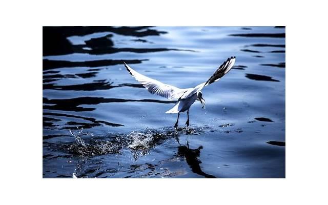 回避型男友是什么