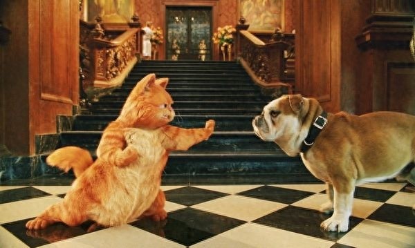 八部经典的关于动物的电影,你看过几部?