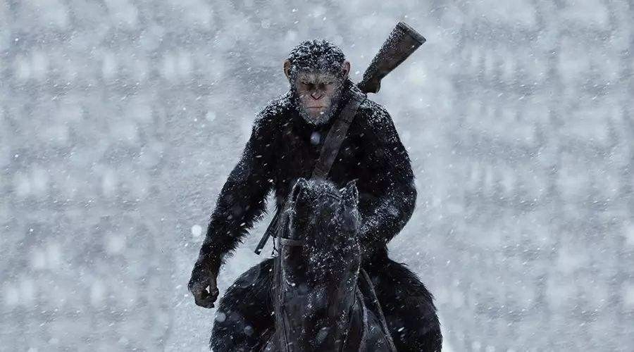 八部经典的关于动物的电影,你看过几部?