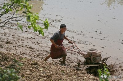 ​泸州纳溪：春灌正当时 农田“喝饱水”