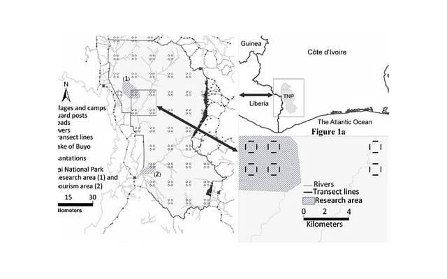情侣爱情宣言，让你的TA为你倾心