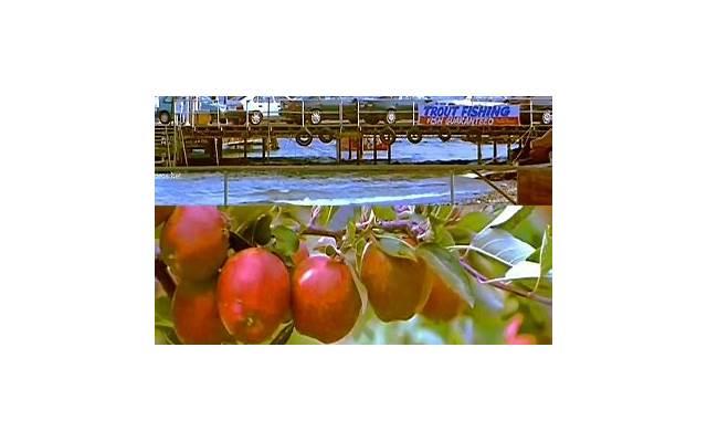 酥皮月饼，酥皮月饼面皮的做法和配方