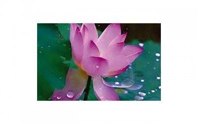 ​情侣之间约会地点有哪些推荐