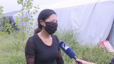 ​投入15万，养殖白玉蜗牛！真能快速致富？还是陷阱？