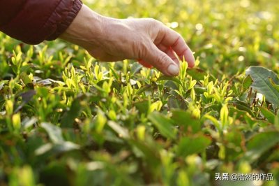 ​监狱的人都干些什么活？