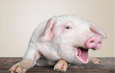 ​猪肺疫有什么症状？不同类型有差异