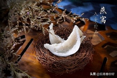 燕窝到底是什么？是骗局还是确有其效？