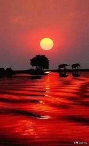 48幅绝美金奖摄影作品欣赏,动人心魄的美感!