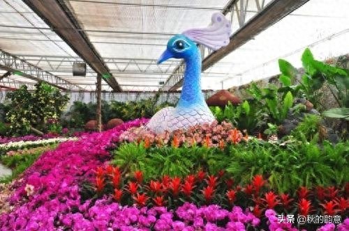 昌平北京农业嘉年华草莓博览园，园区精品馆看到罕见的珍贵品种