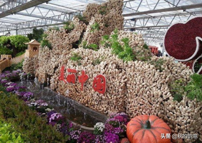 昌平北京农业嘉年华草莓博览园，园区精品馆看到罕见的珍贵品种