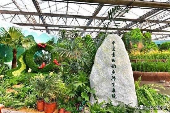 昌平北京农业嘉年华草莓博览园，园区精品馆看到罕见的珍贵品种