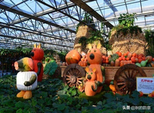 昌平北京农业嘉年华草莓博览园，园区精品馆看到罕见的珍贵品种