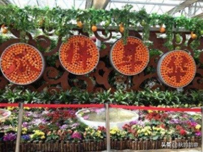 ​昌平北京农业嘉年华草莓博览园，园区精品馆看到罕见的珍贵品种