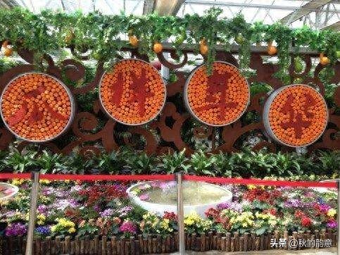 昌平北京农业嘉年华草莓博览园，园区精品馆看到罕见的珍贵品种