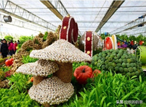 昌平北京农业嘉年华草莓博览园，园区精品馆看到罕见的珍贵品种