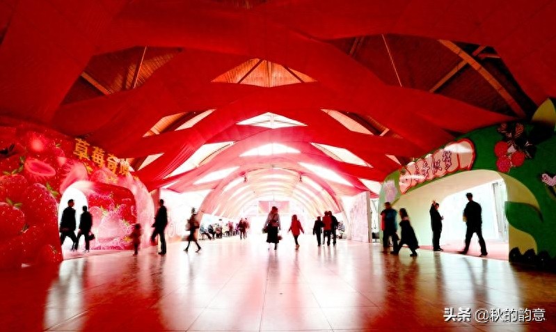 昌平北京农业嘉年华草莓博览园，园区精品馆看到罕见的珍贵品种