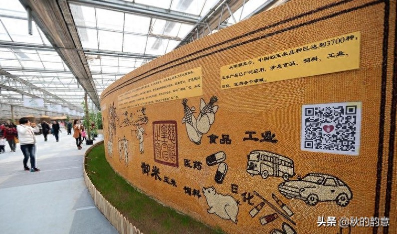 昌平北京农业嘉年华草莓博览园，园区精品馆看到罕见的珍贵品种