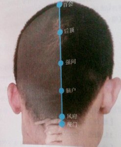 ​每日一穴……风府穴