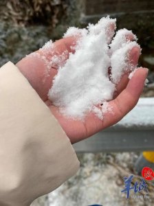 ​韶关市区飘雪！山区气温最低-6℃，多地出现冰挂