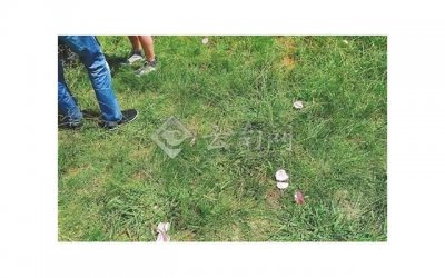 ​如何找优质女生谈恋爱的方法