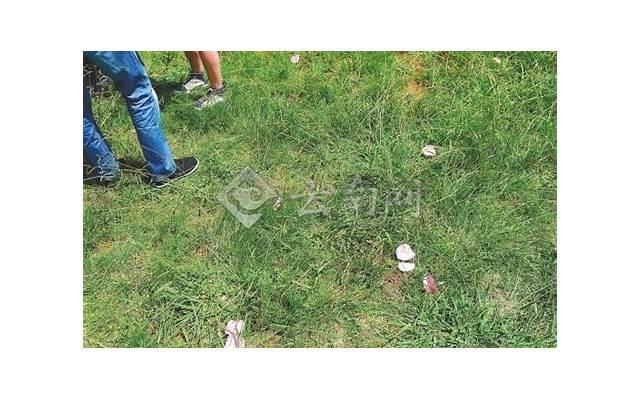 如何找优质女生谈恋爱的方法 如何找优质女生谈恋爱的方法