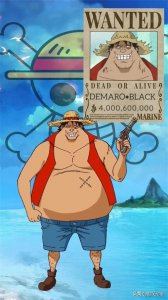 ​《海贼王》假草帽团成员有哪些？最全资料包来了！