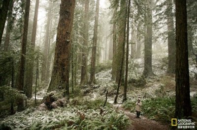 寻找保罗·班扬,探秘传说背后的真相