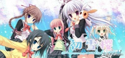 ​《初雪樱》：爱恨交织下冬去春来，爱情之樱花已绽放