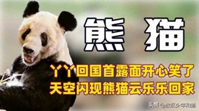 ​为何要出租大熊猫给外国? 赚钱啊! 年入34亿